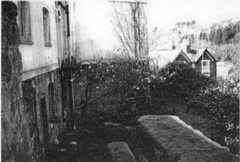 View of the garden - The Cupola 2008